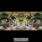 BRONZE Nature is Watching - Kevin Bennett
