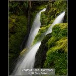 COMMENDED Venford Falls, Dartmoor - Chris Parker